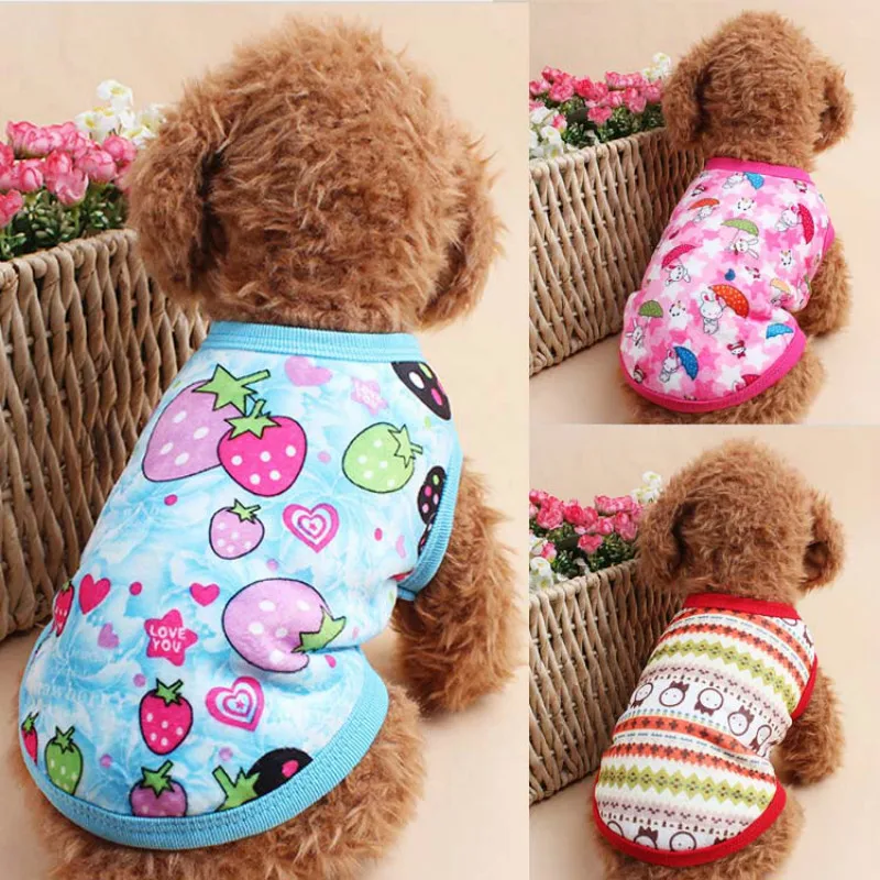 Top 10 Best Teacup Dog Clothes In 2021 Thepetmaster