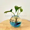 Clear Glass Round Flower Planter Vase Terrarium Container Fish Tank Table Decor ► Photo 3/4