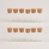 3ml 6ml Mini Glass Jars with Corks wide-mouth Bottles Jar Storage Bottles for Sand Liquid Food Bottles 100 pcs 2