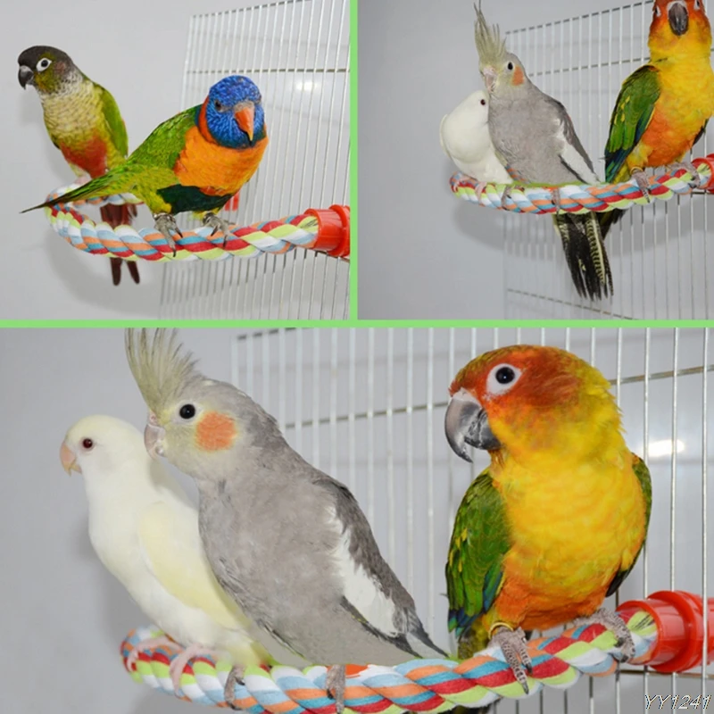 Домашнее животное птица канат для попугаев Cockatiel Parakeet Conure клетка стоячий окунь Жевательная Шмяк игрушка Y110-Dropshipping