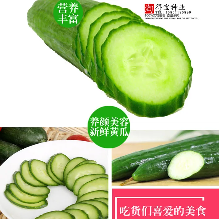 

Blooming Plants Virgo Annual Fruit Melon bonsai Home Easy To Plant Netherls Pick Undefeated 10pcs