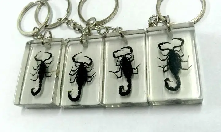 

FREE SHIPPING 10 pcs square design black scorpion lucid fashion Keychain