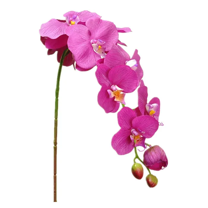 Wholesale 50pcs/Lot Phalaenopsis PU Latex Orchid Flower Real Touch ...