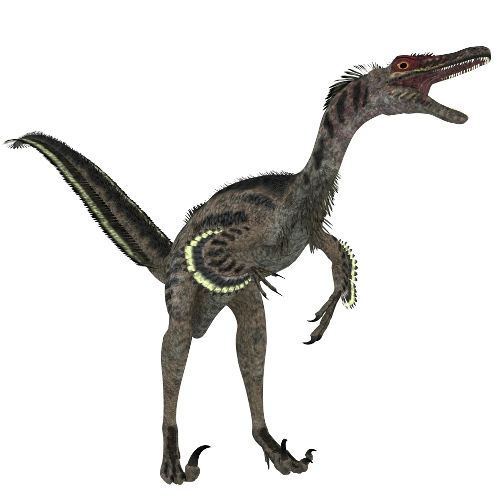 Velociraptor a theropod dinosaur from the late Cretaceous Period Poster Print (14 x 14)