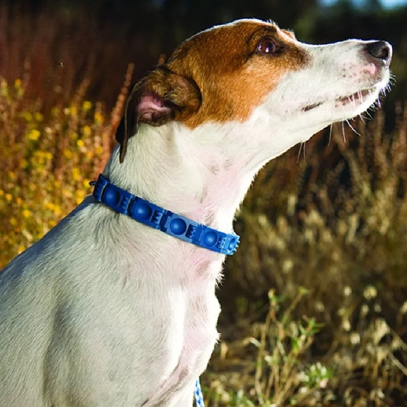 PetDogCollarMediumLargeDogBehaviorTrainingLeashesCollarAnti