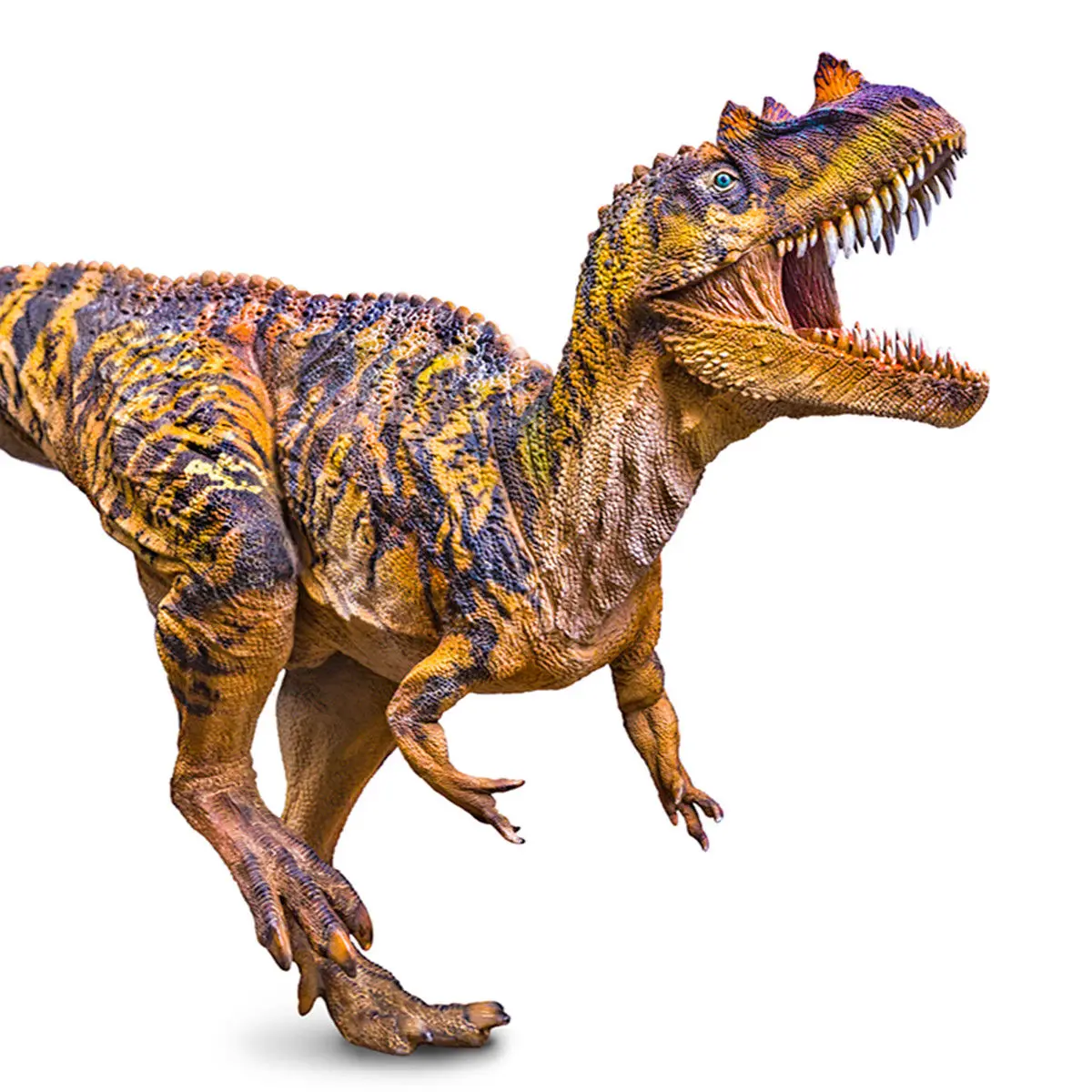 

PNSO 23" Super Ceratosaurus Figure Dinosaur Animal Model Animal Model Ancient Biological Adult Kid Collection Toy Gift HomeDecor