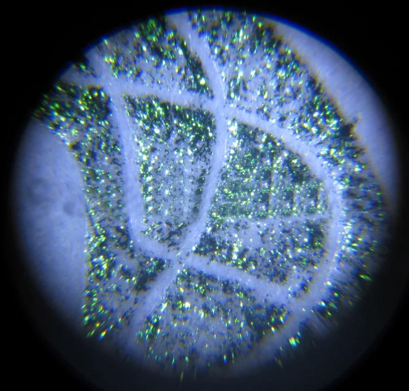 3119072550_1731692697