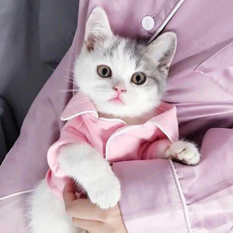 Мягкая одежда для кошек хлопковый наряд котят зимняя маленьких костюм модная