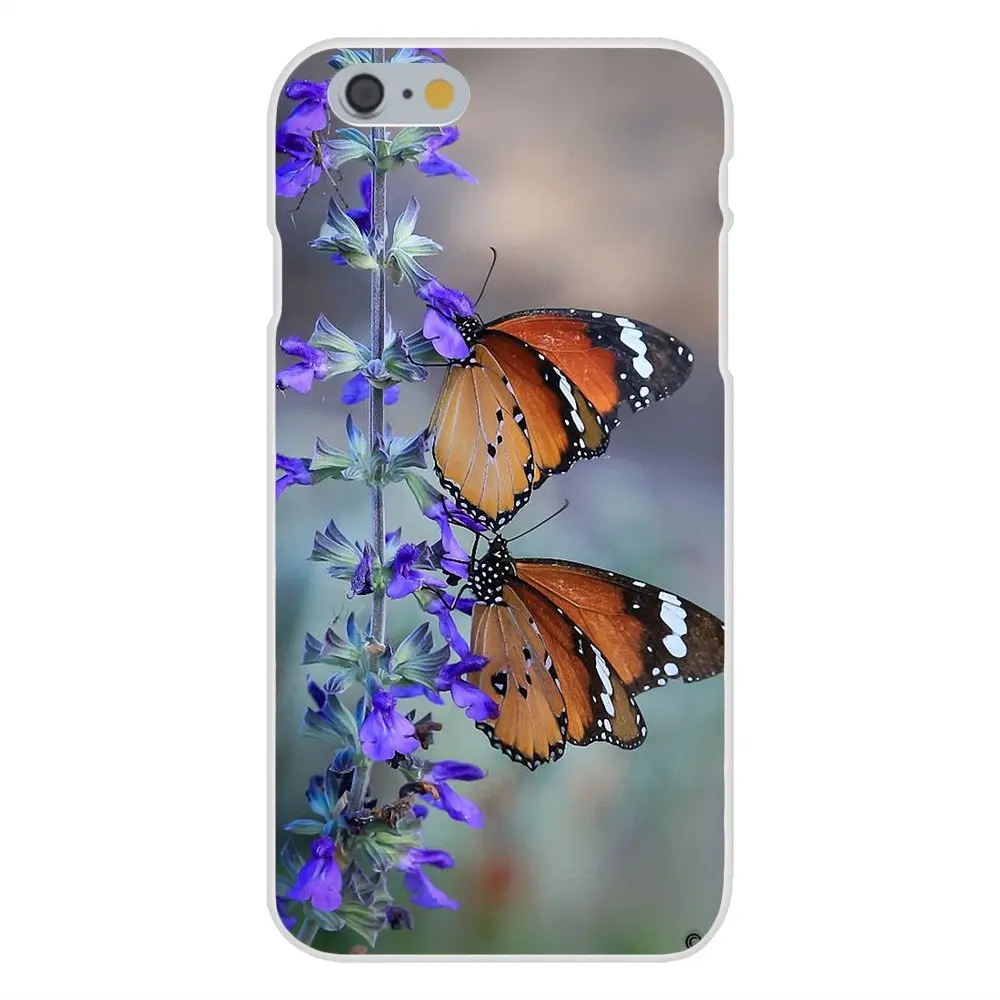 Мягкий чехол для Samsung Galaxy Note 5 8 9 S3 S4 S5 S6 S7 S8 S9 S10 mini Edge Plus Lite Mobile Butterfly Beauty|Бамперы| |