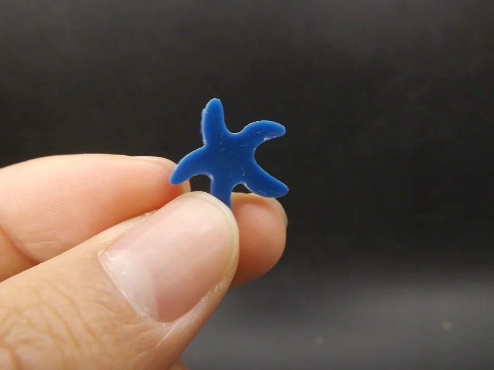 Tiny-A117Starfish (3)