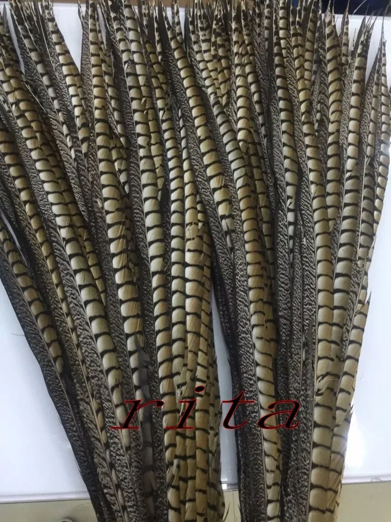 100pcs40-45cm16-18inch amherst перья фазана Природные Перья Шлейф объемные украшения из перьев
