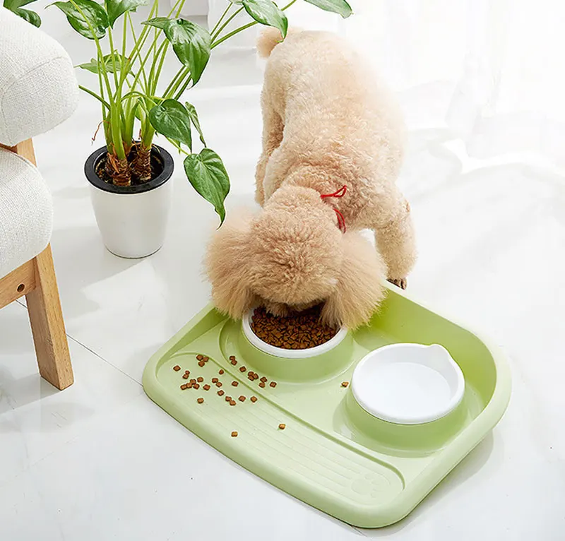 feeding bowl