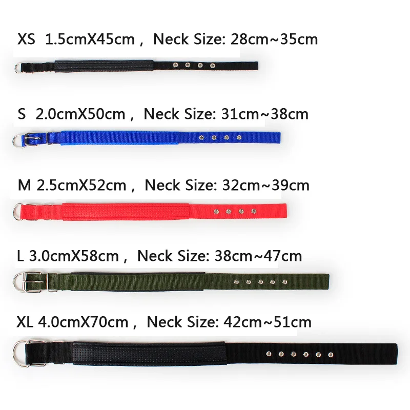 Nylon Small Dog Collar (5)