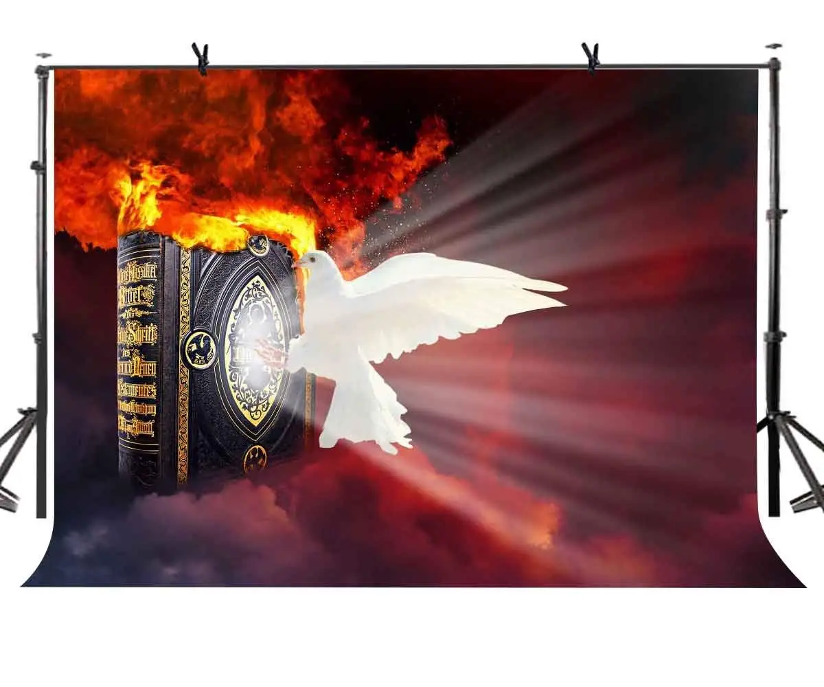 

7x5ft Peace Dove Backdrop Burning Contract Destroying Peace Theme Photography Background and Studio Photography Backdrop Props