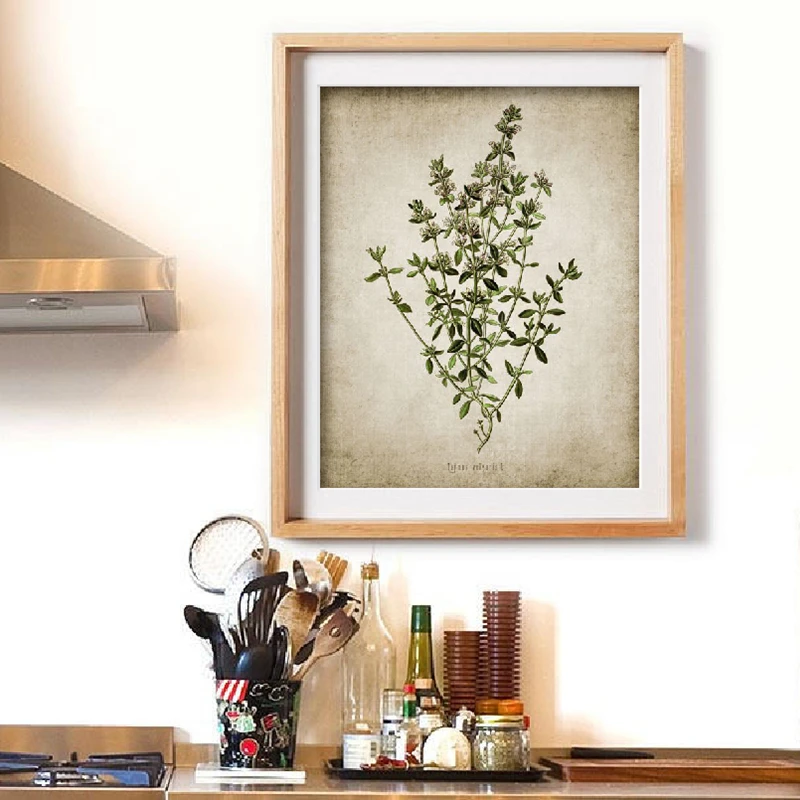 herb canvas print kitchen