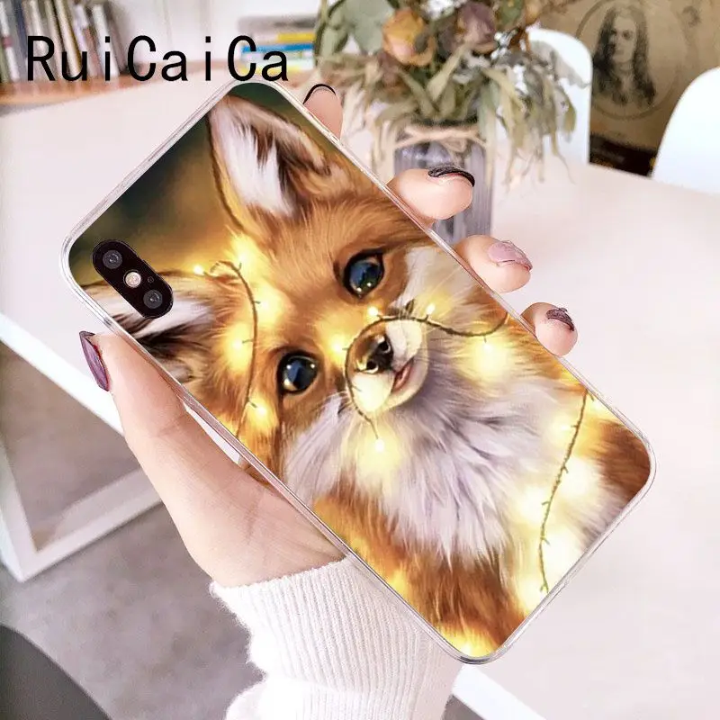 Animal Raccoon Fox