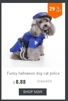 dianxiaobao