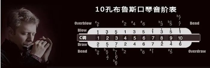 Armonica Diatonica Key of C Huang Harmonicas 10 отверстий Blues подходит для начинающих Instrumento Musicais Armonica Diatonica