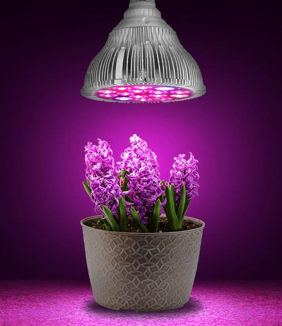 Led Grow Light Par Blue Indoor Plant Flowers Herb Lighting For Growing Hydroponics Led Grow Light Par Blue Indoor Plant Flowers Herb Lighting For Growing Hydroponics