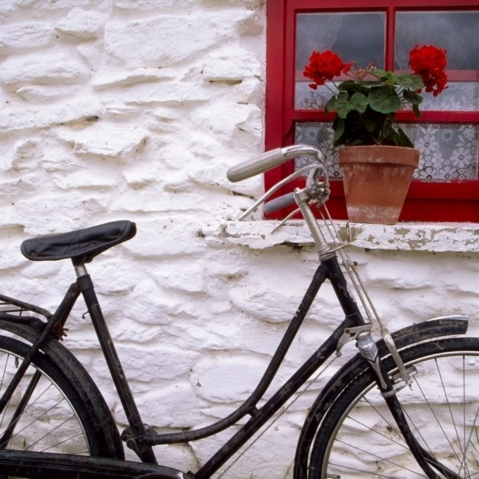 Bunratty Folk Park  County Clare  Ireland; Cottage Window And Bicycle Poster Print (18 x 12)