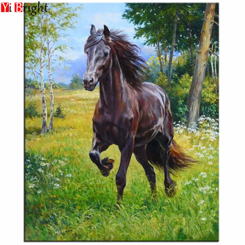 

Full Drill Square Diamond 5D DIY Diamond Painting"black horse"Diamond Embroidery Cross Stitch Rhinestone Mosaic Painting XY1