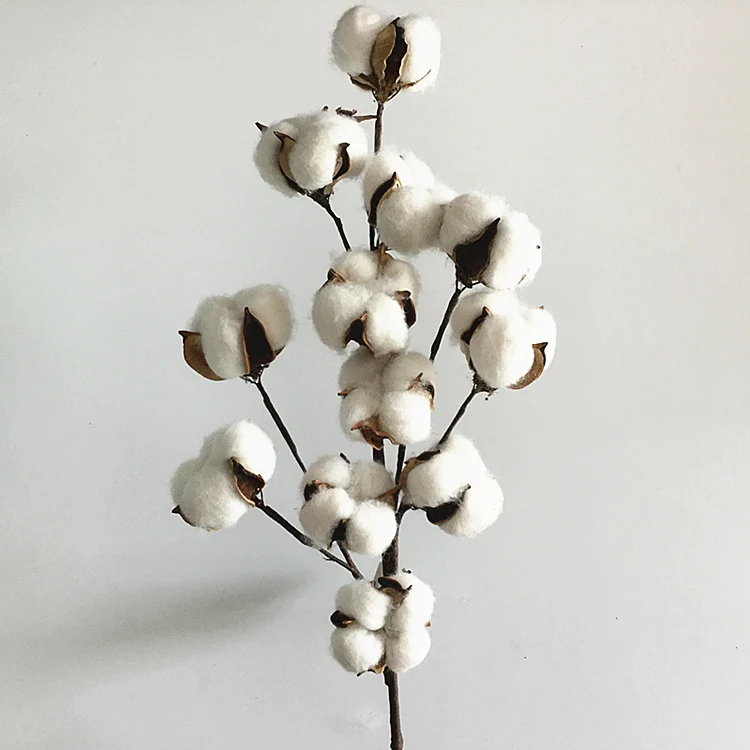 

1pc/lot Decorative Dried Cotton 12 Head White Artificial Cotton Flower Stem