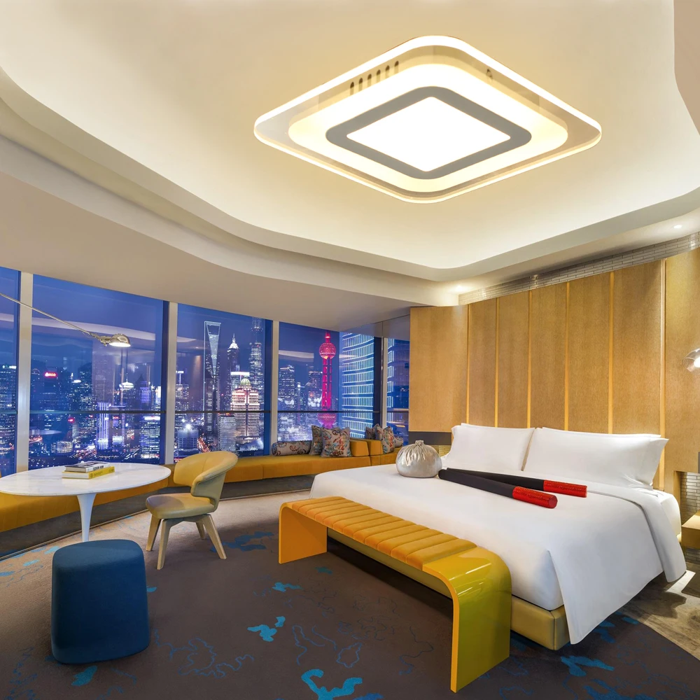Ecolight-Modern-Led-Ceiling-Light-Ceiling-Lamp-Wall-Sconce-For-Living-Room-Home-Ultra-Thin-Led (3)