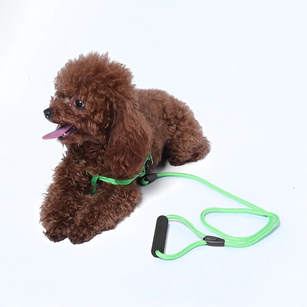 Reflective Dog Leads For Dogs Cats Outdoor Retractable Leashes Pet