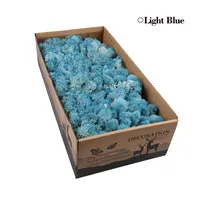 500 г многоцветный мох никогда не увядает страховые цветы бесморские Цветы DIY Цветочные материалы микроскопические бонсай - Цвет: V   Light blue