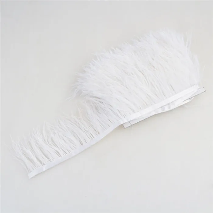 00 ostrich feather trim 2