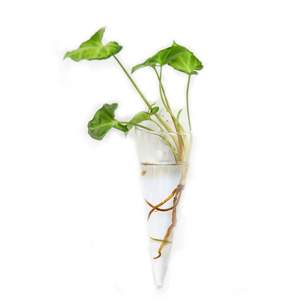 

Creative Wall Hanging Transparent Glass Vase Hydroponic Living Room Home Decor Device With 1 Free No-Damage Hook (Ice Cream Shap