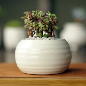 

5.2x4.5cm Simple white stripes Creative meaty mini ceramic cylinder drum flower pots Pot freeshipping