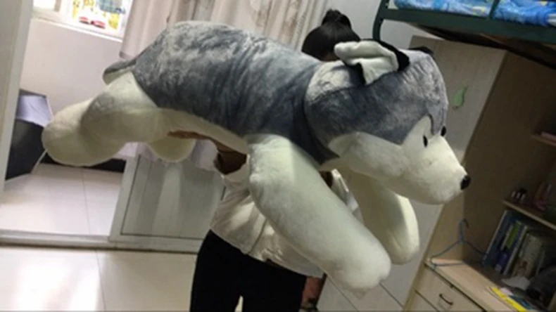 Cute Animal Husky Plush Toys Dolls Large Cartoon Dogs Valentine's Day Gifts Decoration 39inch 100cm DY50505 (17)
