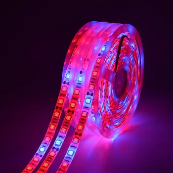 

5M LED Phytolamps Full Spectrum LED Grow Light Strips 12V Phyto lamp Fitolamp For Plants Flowers Vegetable Seeds Seedling lamp
