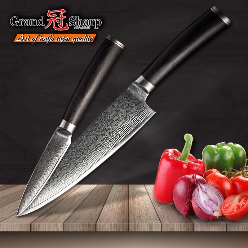 2 Pcs Chef Knife Set Professional Chef Paring Damascus Kitchen Knives