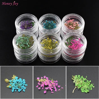 

12 Colors 3D Real Dried Dry Flower Leaves Nail Art Decoration UV Gel Nails Stickers Nails Manicure Tips Decals