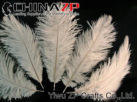 Ostrich Feathers, 10 Pieces - 9-10 OFF WHITE Ostrich Drab Bleached Feathers