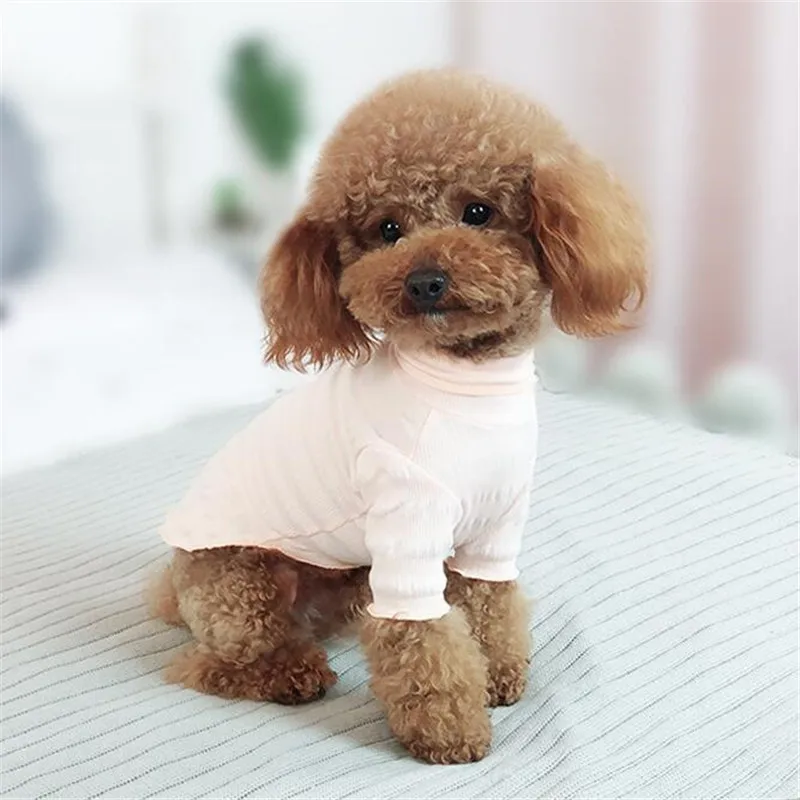 QQ20190318215119