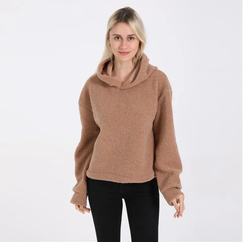 

2019 Autumn Winter Women Long Sleeve Hoodies Casual Warm Curly Lamb Faux Fur Sweatshirt Fashion Hooded Tops Thicken Coat