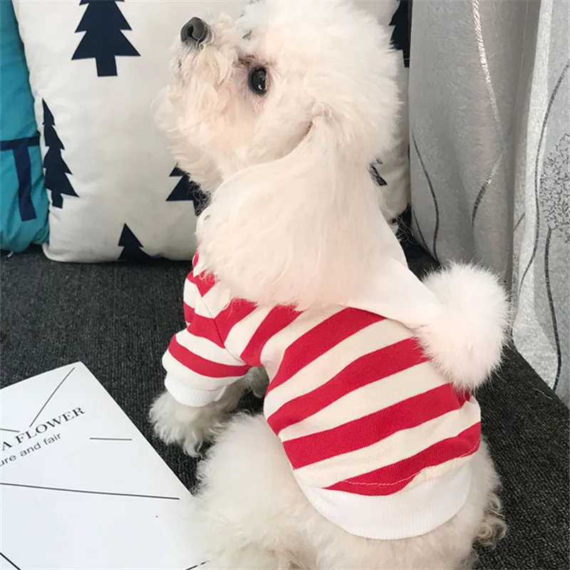 Autumn Spring Dog Hoodie Shirt Cat Puppy Clothing Chihuahua Poodle Bichon Pug Clothes Outfit Small Costume Pet Coat | Дом и сад
