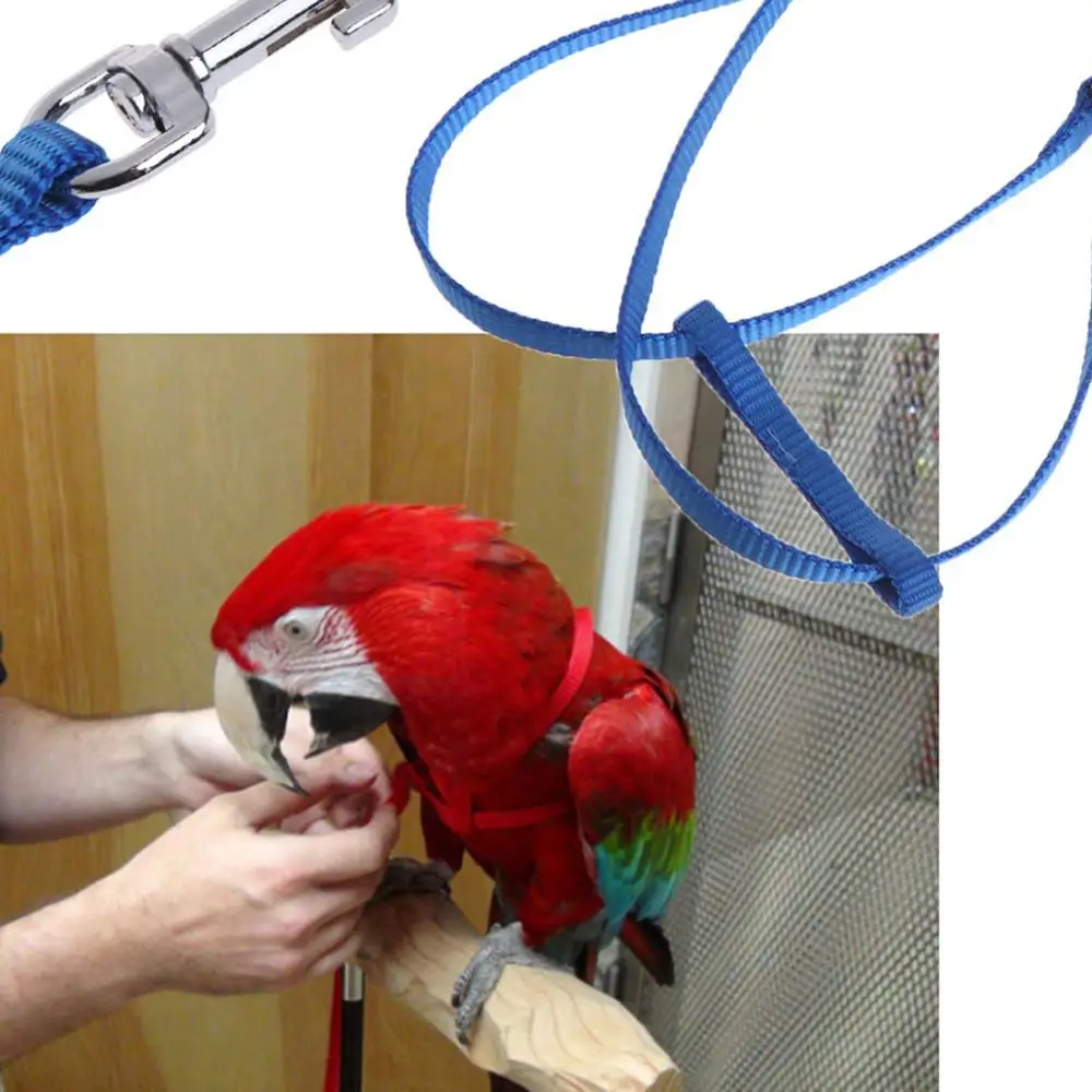 Поводок для попугая домашних животных жгут Открытый регулируемый анти укус тренировочный канат Летающая лента