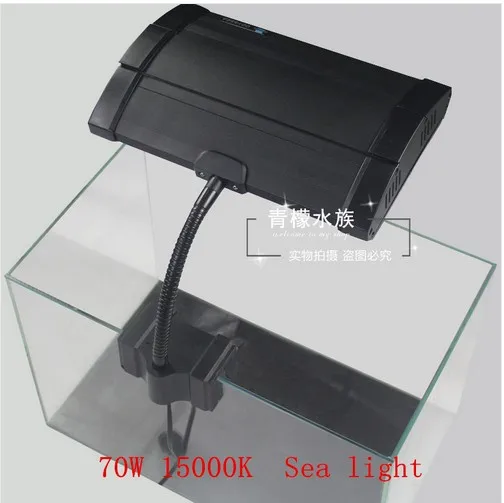 70W 15000K Clip