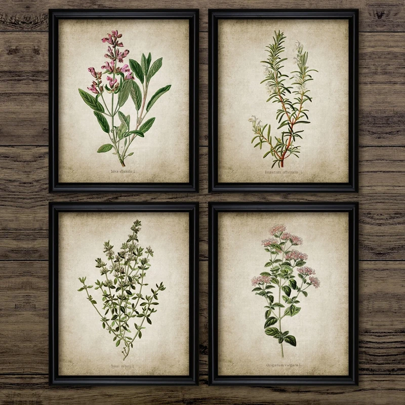 

Vintage Herb Art Canvas Poster And Prints , Oregano Rosemary Sage Thyme Canvas Painting Retro Wall Pictures Home Art Wall Decor