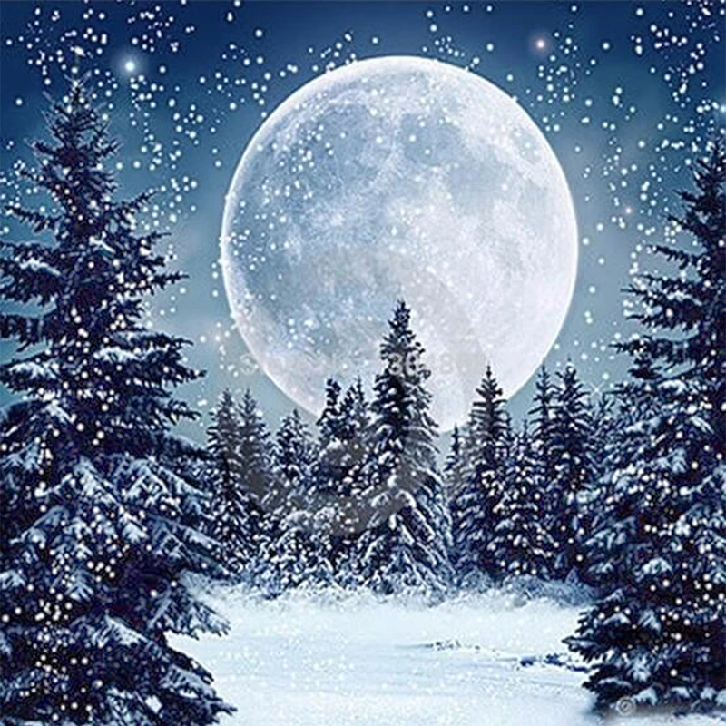 NAIYUE Moon Snow Scenery Full Diamond Painting Plastic Crafts Home Decor Mosaic Embroidery Cross 