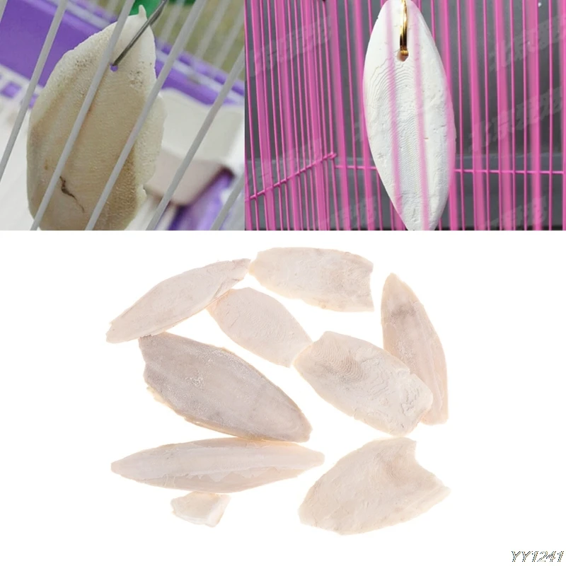 

1 Bag Cuttlebone Cuttlefish Sepia Bone Cuttle Fish Bird Food Calcium Pickstone Pet Y110-Dropshipping