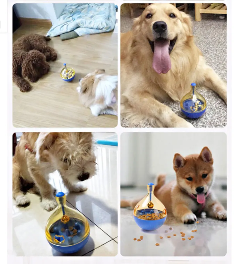 Dog Ball Bowl 5 Dog Ball Bowl 5