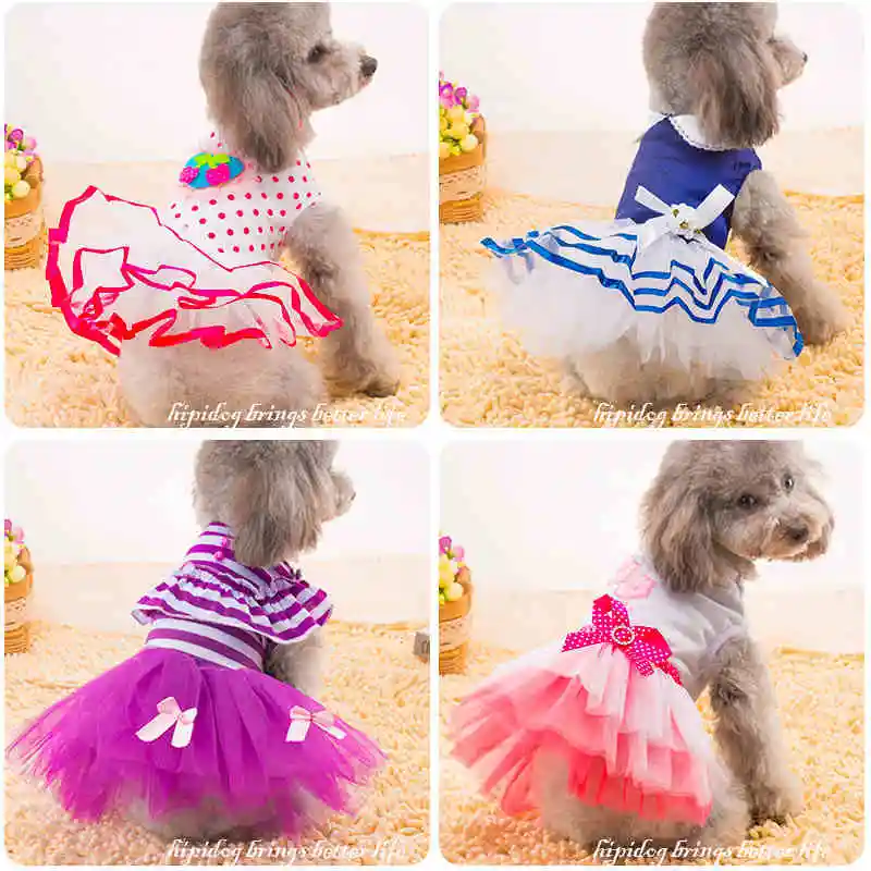 Игривое платье-пачка принцессы Детская летняя одежда для собак плюшевый Пудель платье летняя одежда пальто