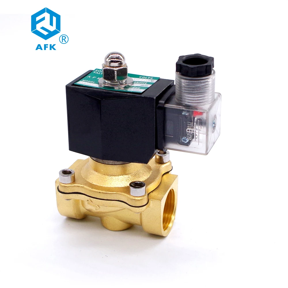 solenoid valve with timer (12)