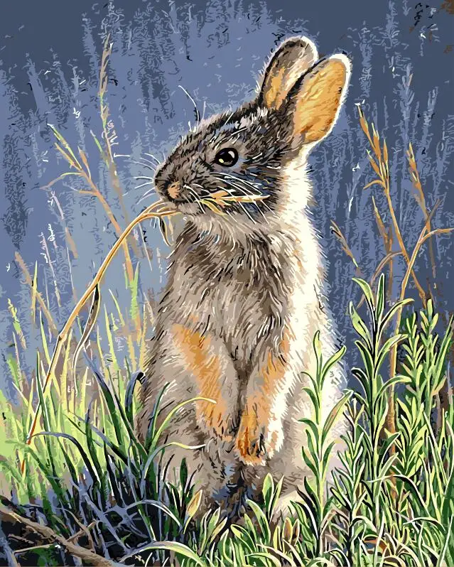 

Frameless Rabbit And Snow DIY Painting By Numbers Drawing Painting By Numbers Without Frame For Home Wall Decor Artwork