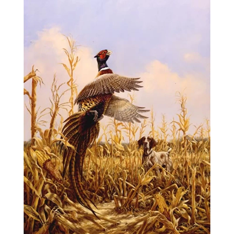 Cornfield%20Pheasant_jpg